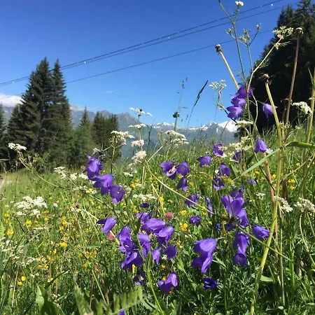 Les Arcs 1800 *